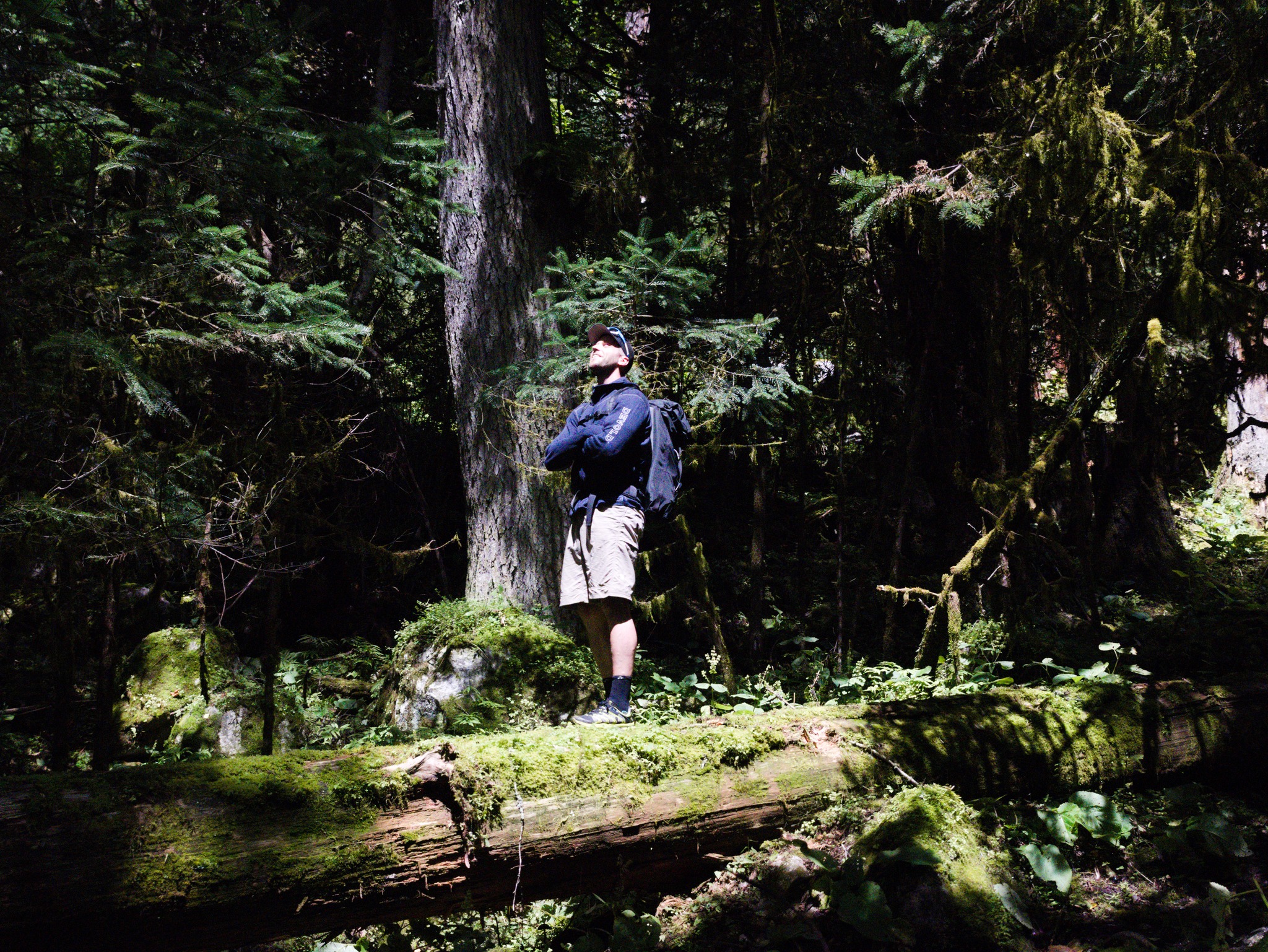 Fredrik Sträng poserar på en stubbe i en skog i Nepal